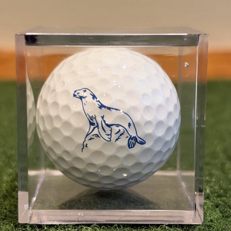 Vice golf ball: Letters To Troon Seal